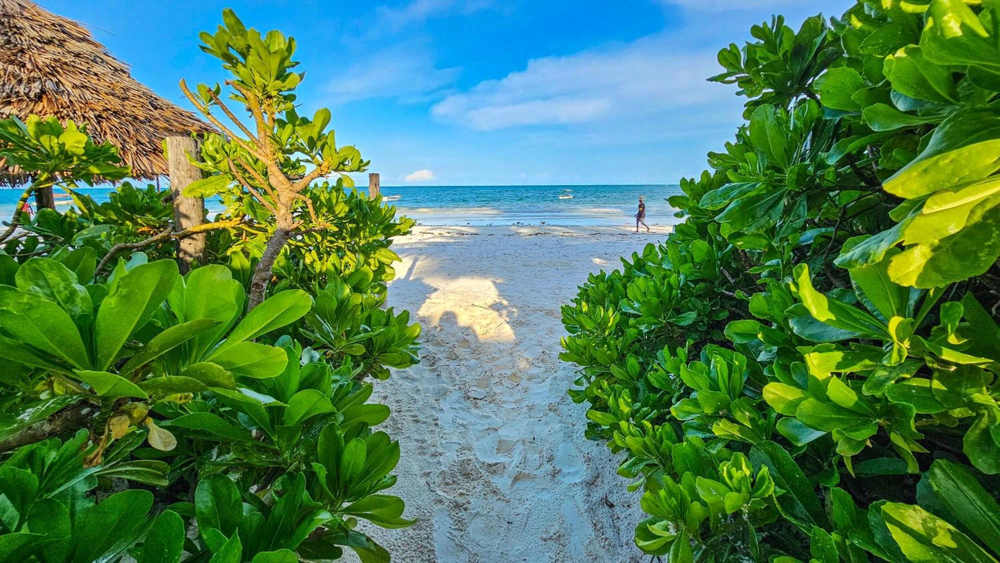 Zoi Beach House Matemwe  Ngoại thất bức ảnh